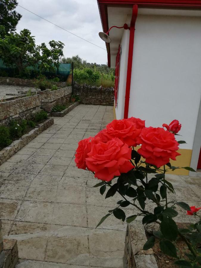Отель Casa Da Vinha Grande Poiares Экстерьер фото